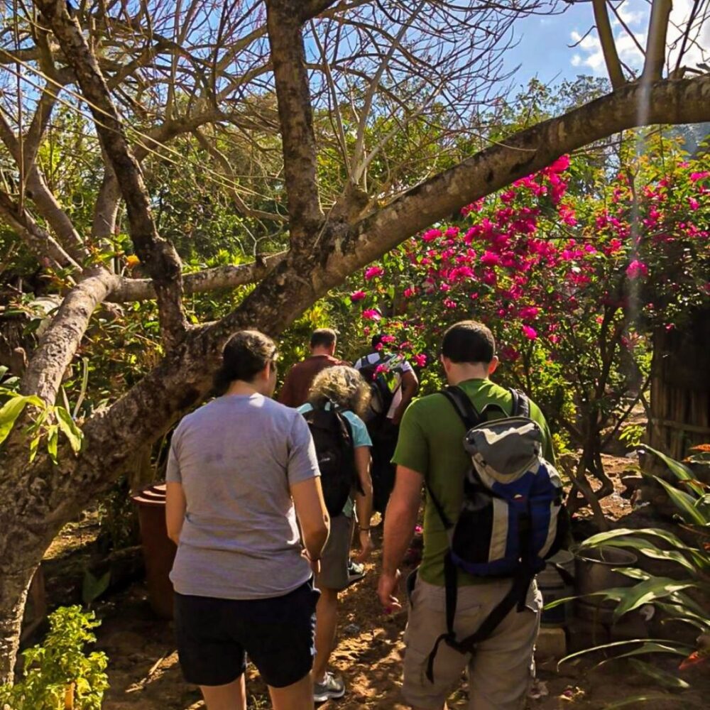 Cobá Tour - Image 6