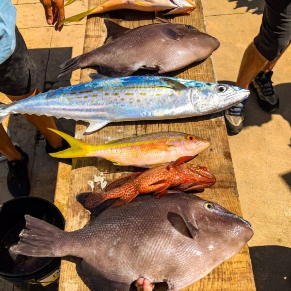 fishing tour - a local family experience- riviera fam 00014