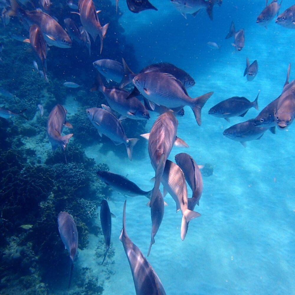 Fishing Paradise Tour - Image 2