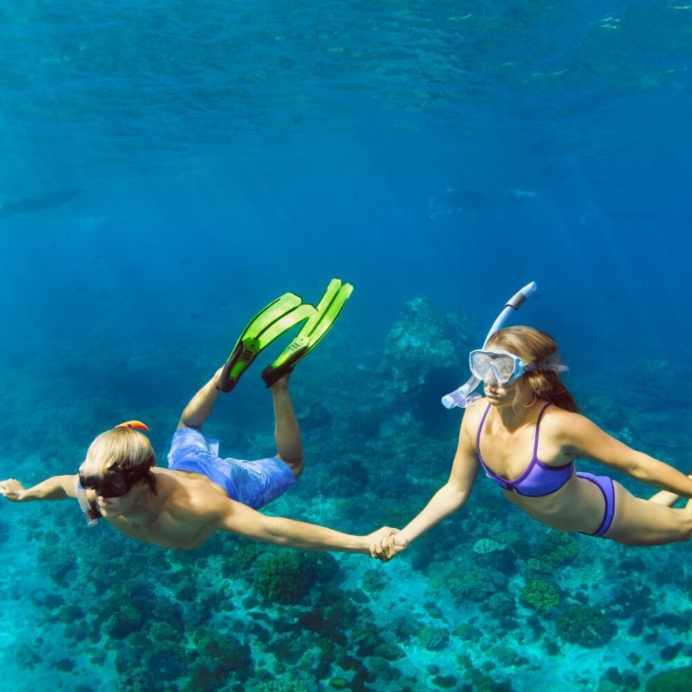 Snorkel tour - Image 5