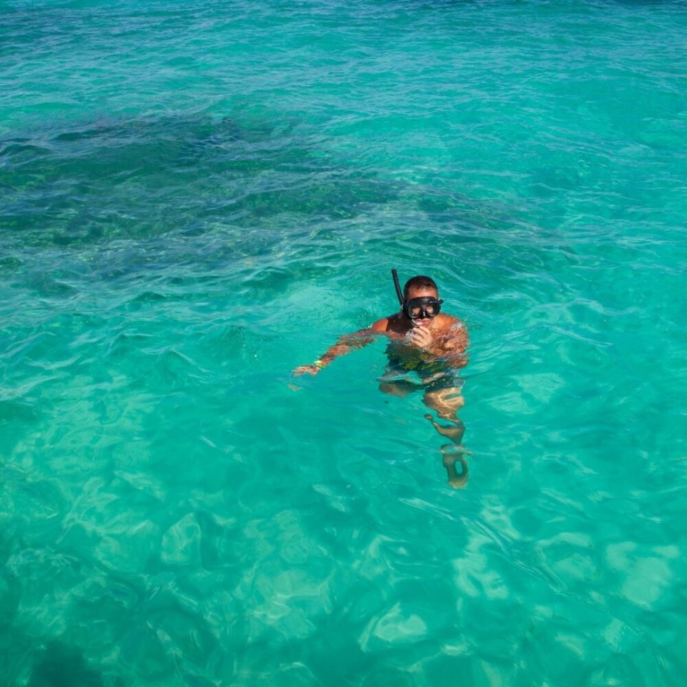 Snorkel tour - Image 6