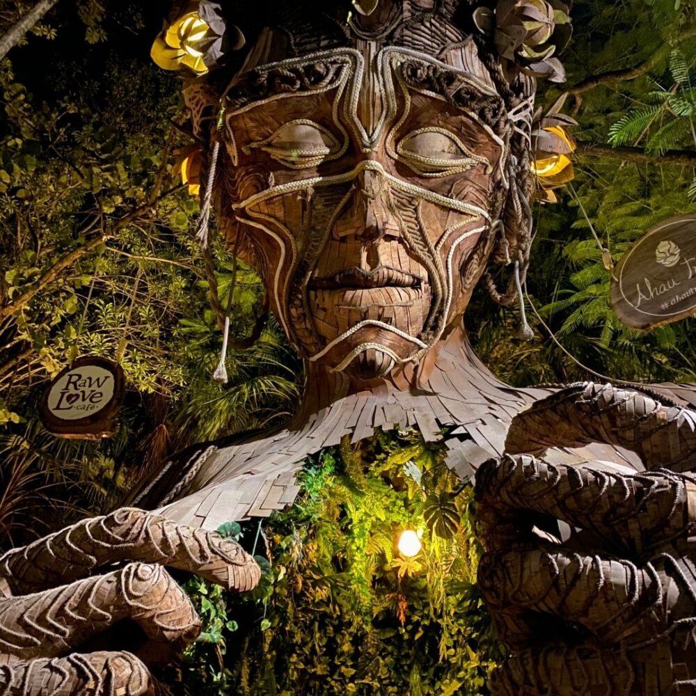 Riviera Insta Experience