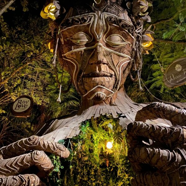 Riviera Insta Experience